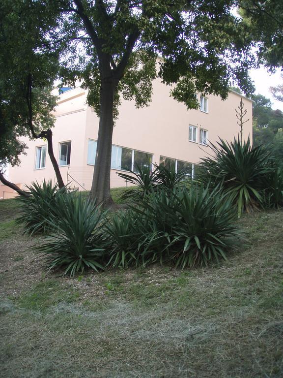 Apartments Vasic Πούλα Εξωτερικό φωτογραφία